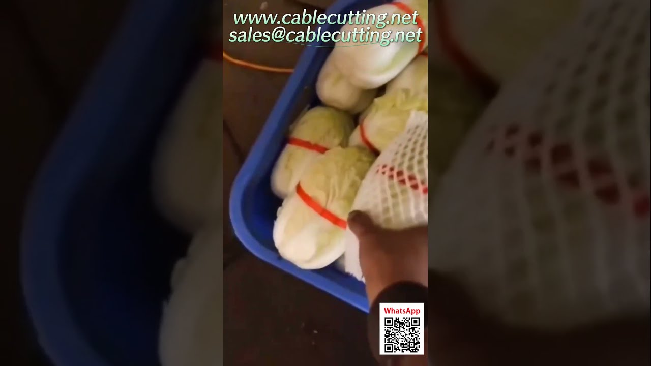 自動線材包裝機｜線圈、手套、食品級包裝設備｜工廠自動化解決方案